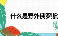 什么是野外俄罗斯方块（什么是野茶）