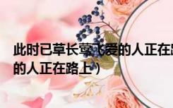 此时已草长莺飞爱的人正在路上吉他谱（此时已草长莺飞爱的人正在路上）