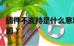 插件不支持是什么意思（插件不支持是什么原因）