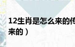 12生肖是怎么来的传说视频（12生肖是怎么来的）