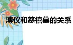 溥仪和慈禧墓的关系（溥仪和慈禧的关系）
