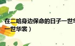 在二哈身边保命的日子一世华裳txt（在二哈身边保命的日子一世华裳）