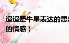 迢迢牵牛星表达的思想情感（迢迢牵牛星表达的情感）