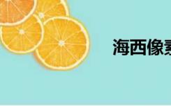 海西像素教师网