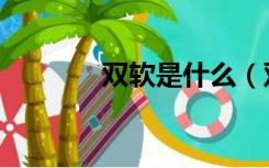 双软是什么（双软是指什么）