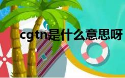 cgtn是什么意思呀（cgtn是什么意思）
