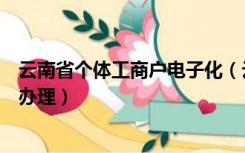 云南省个体工商户电子化（云南个体工商户全程电子化业务办理）