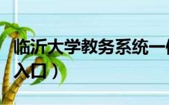 临沂大学教务系统一体化（临沂大学教务系统入口）