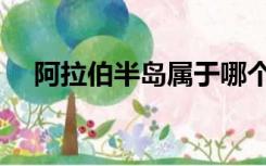 阿拉伯半岛属于哪个板块（阿拉伯半岛）