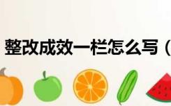 整改成效一栏怎么写（整改成效一栏怎样填）