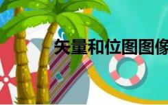 矢量和位图图像的特点是什么？