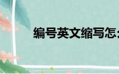 编号英文缩写怎么写（编号英文）