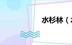 水杉林（水杉简介）