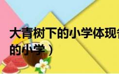 大青树下的小学体现各民族的什么（大青树下的小学）