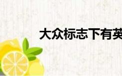 大众标志下有英文的车多少钱？