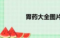 胃药大全图片（胃药大全）