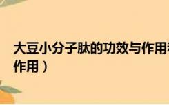 大豆小分子肽的功效与作用和危害（大豆小分子肽的功效与作用）