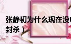 张静初为什么现在没电影了（张静初为什么被封杀）