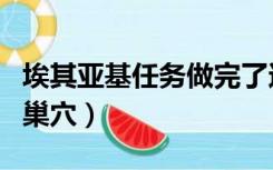 埃其亚基任务做完了还可以抓吗（埃其亚基的巢穴）