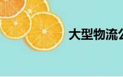 大型物流公司的收费