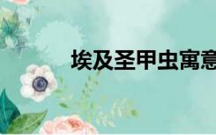 埃及圣甲虫寓意（埃及圣甲虫）