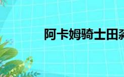 阿卡姆骑士田淼中文补丁v1 7