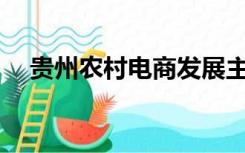 贵州农村电商发展主要表现在哪些方面？