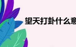 望天打卦什么意思（望天打卦）