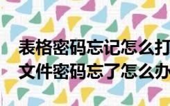 表格密码忘记怎么打开wps2009（wps表格文件密码忘了怎么办）