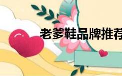 老爹鞋品牌推荐（老爹鞋品牌）