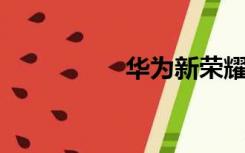 华为新荣耀20怎么样？