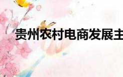 贵州农村电商发展主要表现在哪些方面？