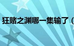 狂赌之渊哪一集输了（狂赌之渊哪一集最污）