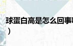 球蛋白高是怎么回事呢（球蛋白高是怎么回事）