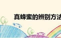 真蜂蜜的辨别方法（真蜂蜜的价格）