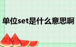 单位set是什么意思啊（单位set是什么意思）