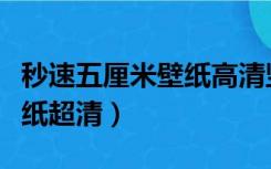 秒速五厘米壁纸高清竖屏男主（秒速五厘米壁纸超清）