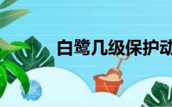白鹭几级保护动物（白鹭资料）