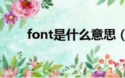 font是什么意思（font是什么意思）