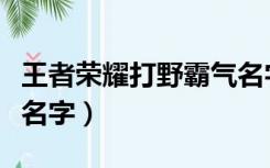 王者荣耀打野霸气名字男（王者荣耀打野霸气名字）