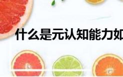 什么是元认知能力如何提高元认知能力？