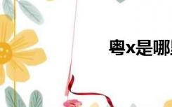 粤x是哪里的车牌