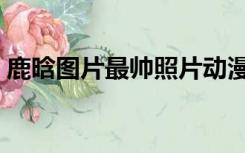 鹿晗图片最帅照片动漫（鹿晗图片最帅照片）