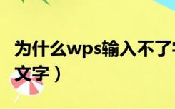 为什么wps输入不了字（为什么wps输入不了文字）