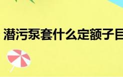 潜污泵套什么定额子目（潜污泵套什么定额）