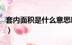 套内面积是什么意思啊（套内面积是什么意思）