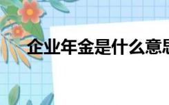 企业年金是什么意思说的通俗易懂一些
