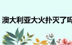 澳大利亚大火扑灭了吗（澳大利亚大火原因）