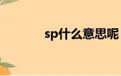 sp什么意思呢（sp什么意思）