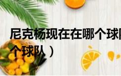 尼克杨现在在哪个球队服役（尼克杨现在在哪个球队）